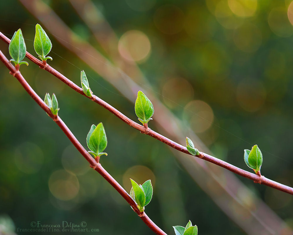 Green world