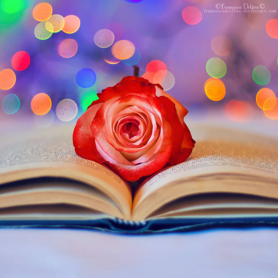 Romantic book