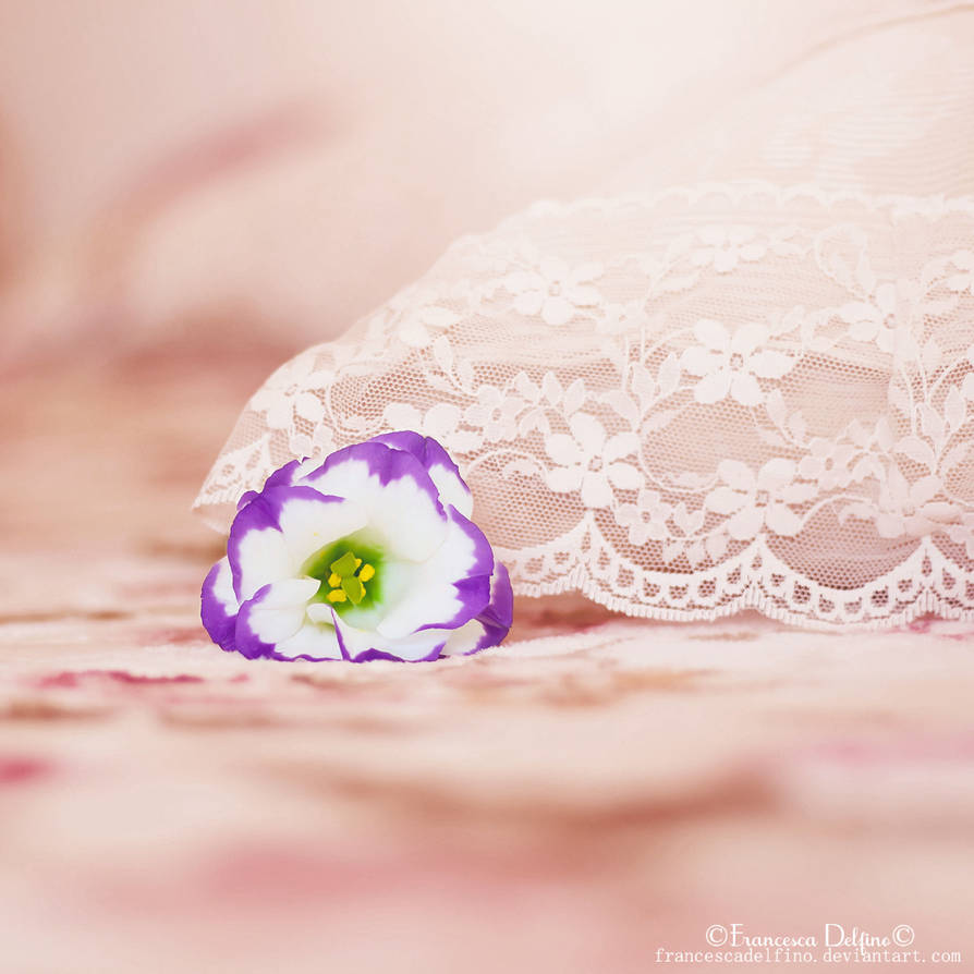 Softness by FrancescaDelfino