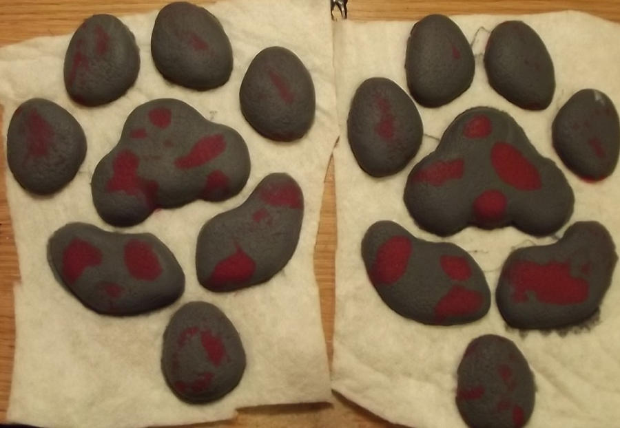 Blood splattered pawpads