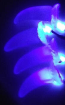 Purple LED claws