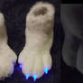 LED glow feet