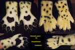 Cheetah Handpaws