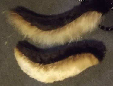 German Shepherd tails