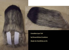 Canadian Lynx Tail