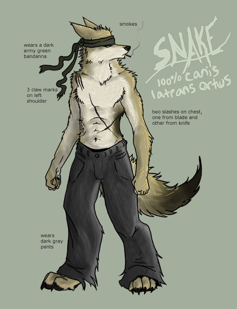 Snake Ondulating Reference Snake reference 2 by novaphase on DeviantArt