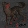 Riley in wolf form