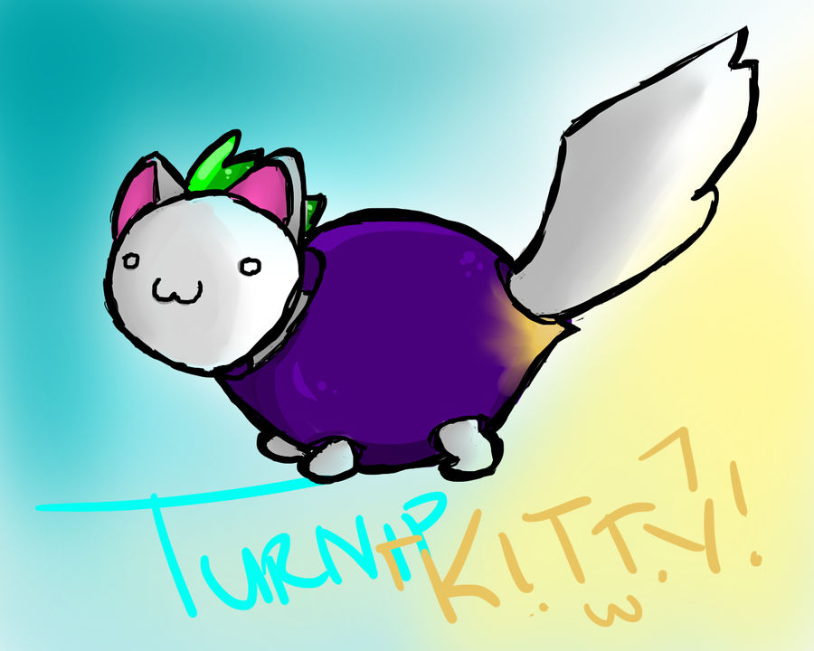 TURNIP KITTY