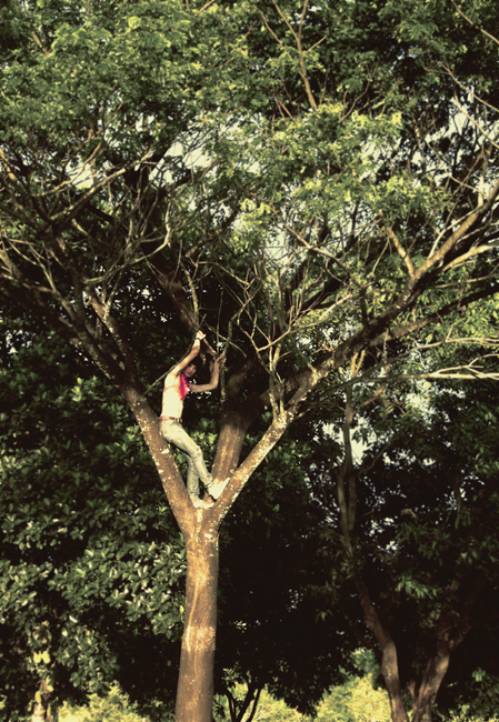 tree boy.