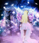 Fairy Night