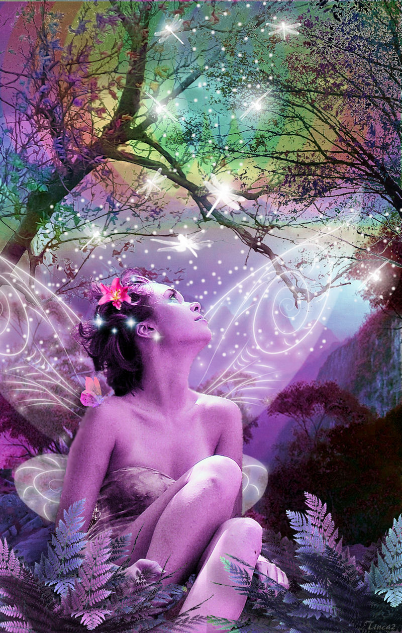 Fairy Dreamland