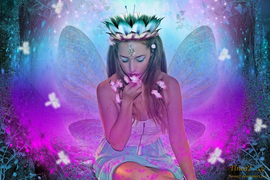 Butterfly Princess