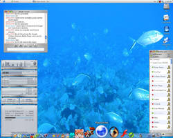 Windows XP desktop: OSEX (new)