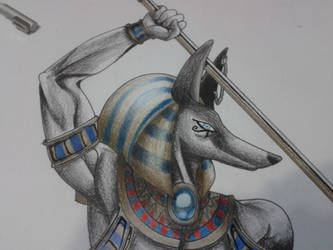 anubis close up