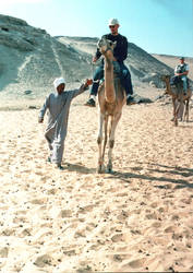 Egypt - Camel Ride in Assuan