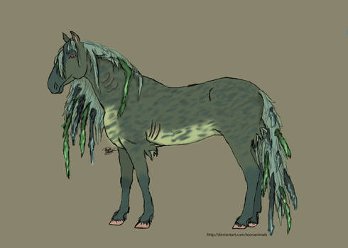 Stiofan, Kelpie