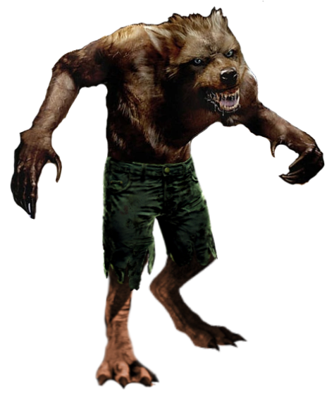 Werewolf by Night - Wikipedia