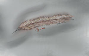 Feather, free use laptop background