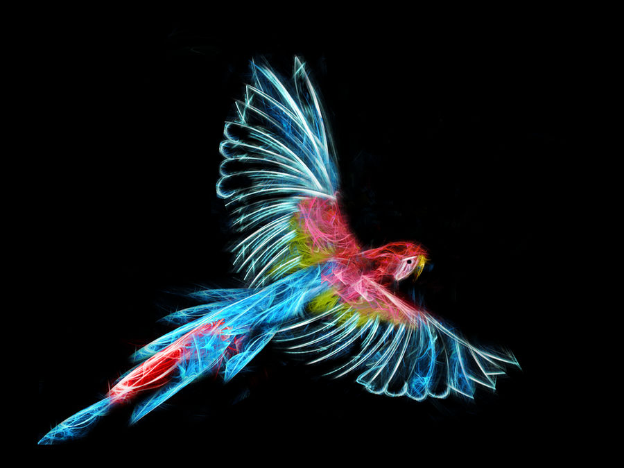 Fractal Parrot Algorithm Fractal Parrot by ADesignToRemember on DeviantArt