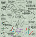 How To Draw Your Dragon