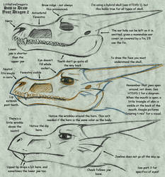 How To Draw Your Dragon 2