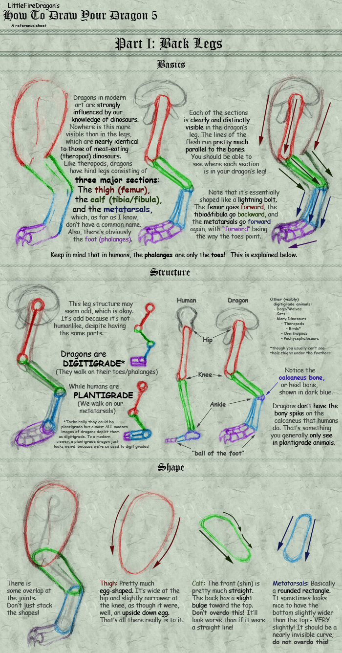 How to Draw Your Dragon 5-1: Back Legs