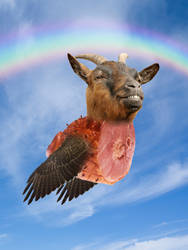Flying Goat Ham