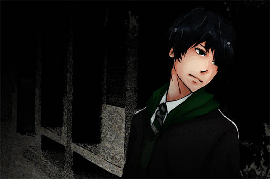 Slytherin Prince