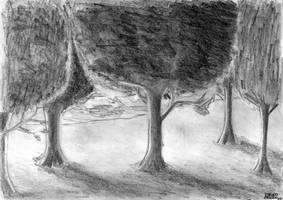 Trees - Pencil