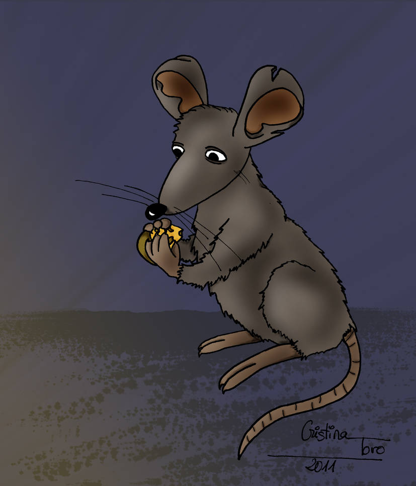 Rata by CRiSiSArT84 on DeviantArt