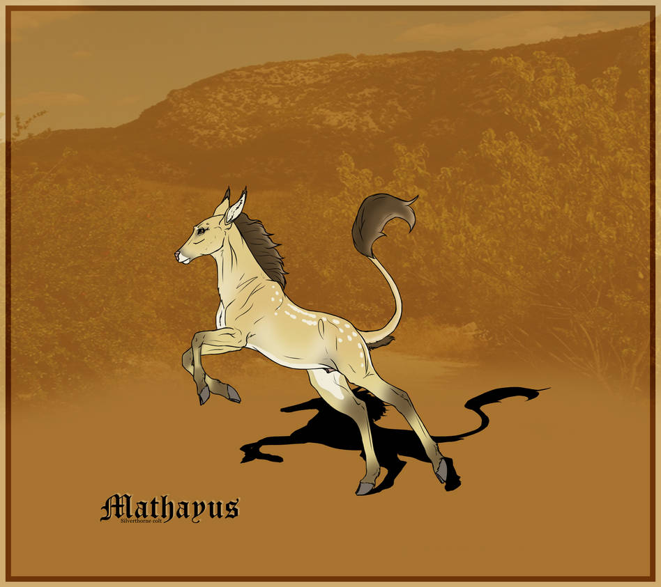 Mathayus Ninja Mathayus - Silverthorne - colt by Jian89 on DeviantArt