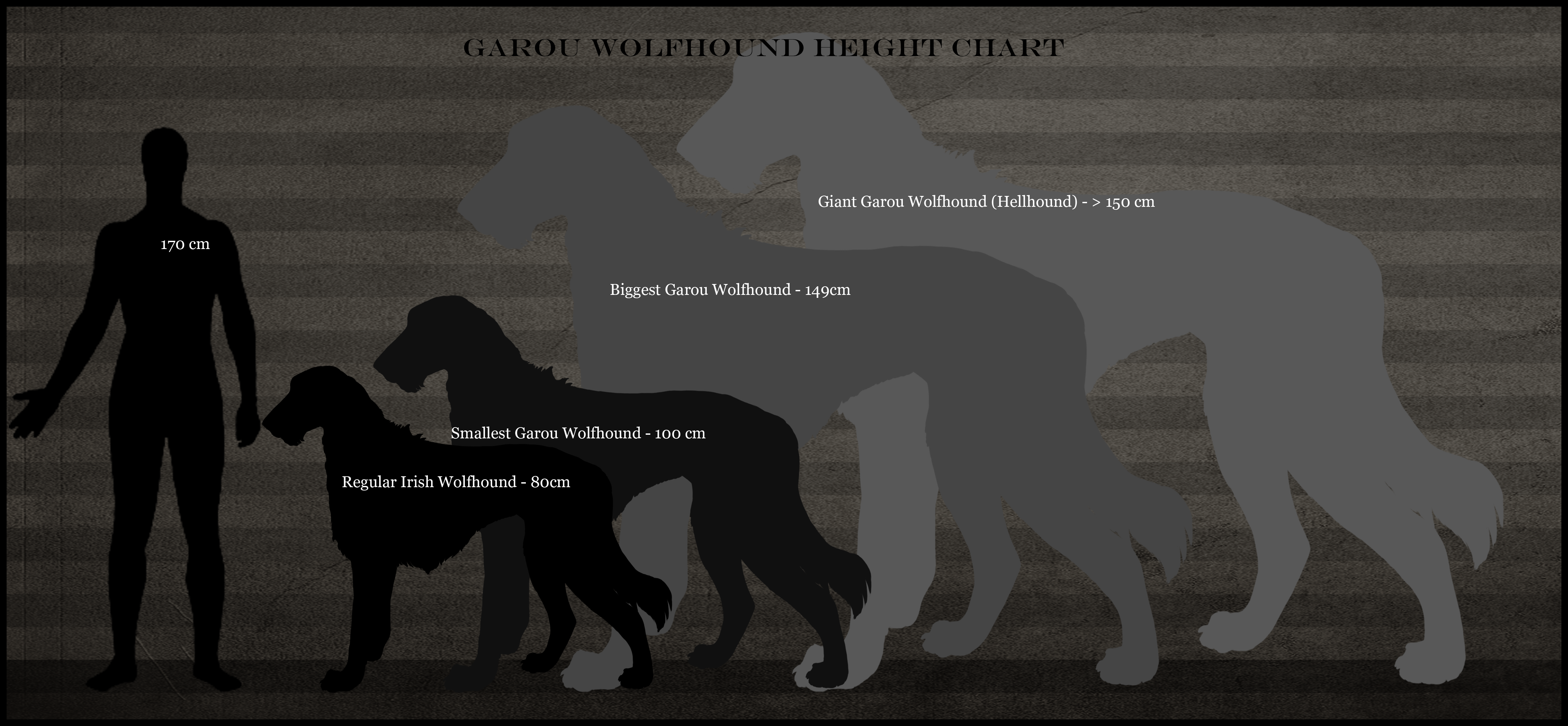 Garou Wolfhound height Chart