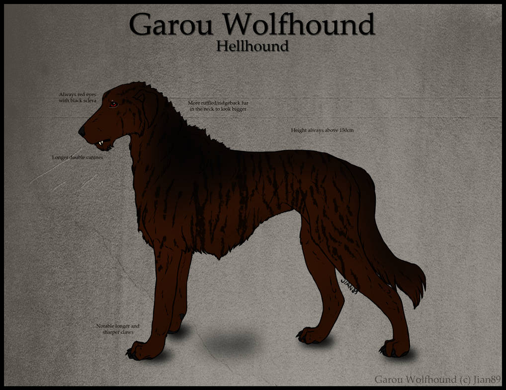 Hellhound Types Garou Wolfhound: Hellhound type by Jian89 on DeviantArt