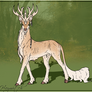 Lord Haymitch / Glenmore stag / Lord