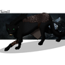 Thirell | Female | Houseless