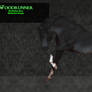 Woodrunner | Sheikabian Mare | 291