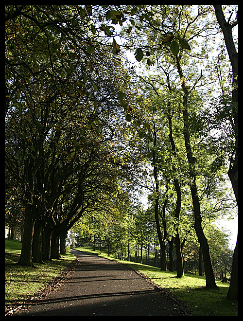 Kelvingrove