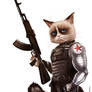 Captain America:The Winter Soldier- Grumpy Soldier