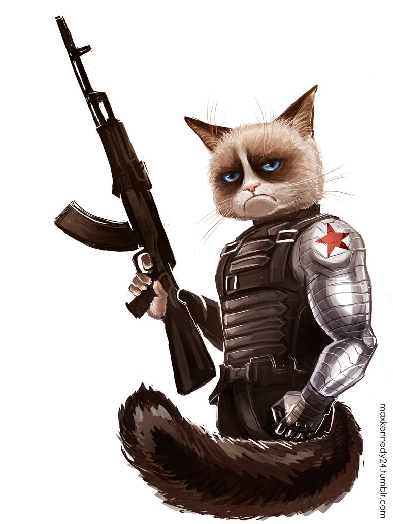 Captain America:The Winter Soldier- Grumpy Soldier by maXKennedy on ...