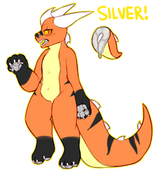 anthro silver reference