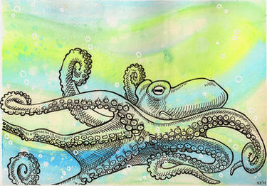 Octo Watercolor 4