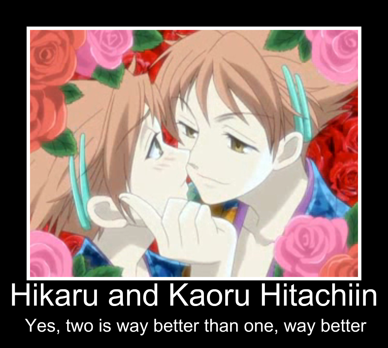 2 is better than 1 | Hikaru| Kaoru