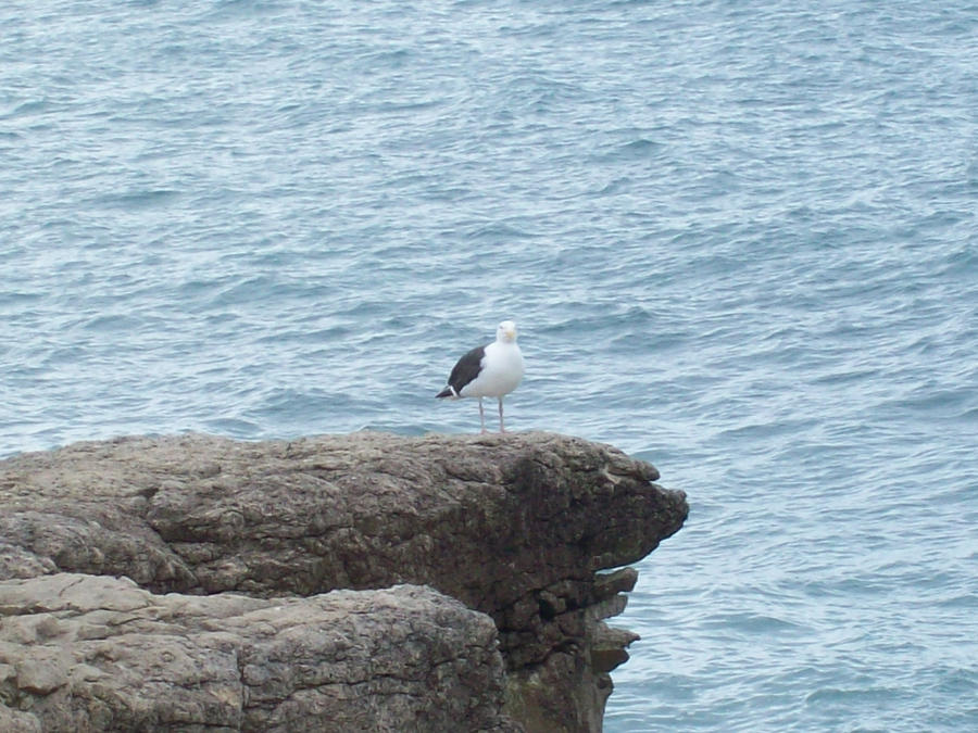 Cliff