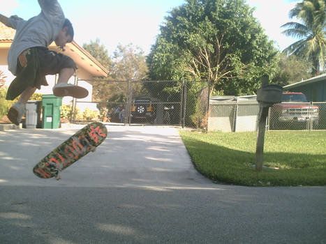 kickflip i call eagle flip