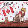 Hetalia Canada Wolf Style