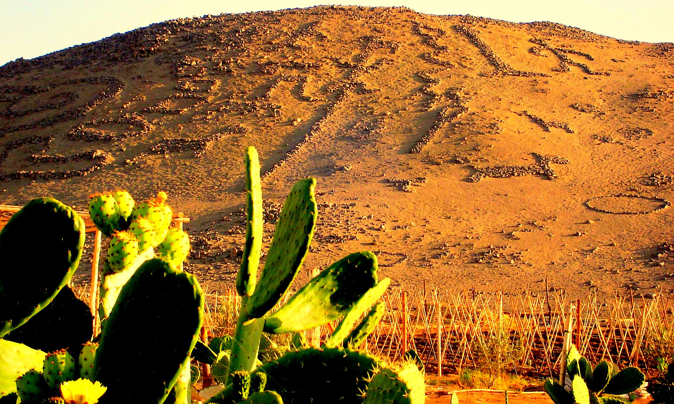 Arica Valle de Azapa by cbr750 on DeviantArt