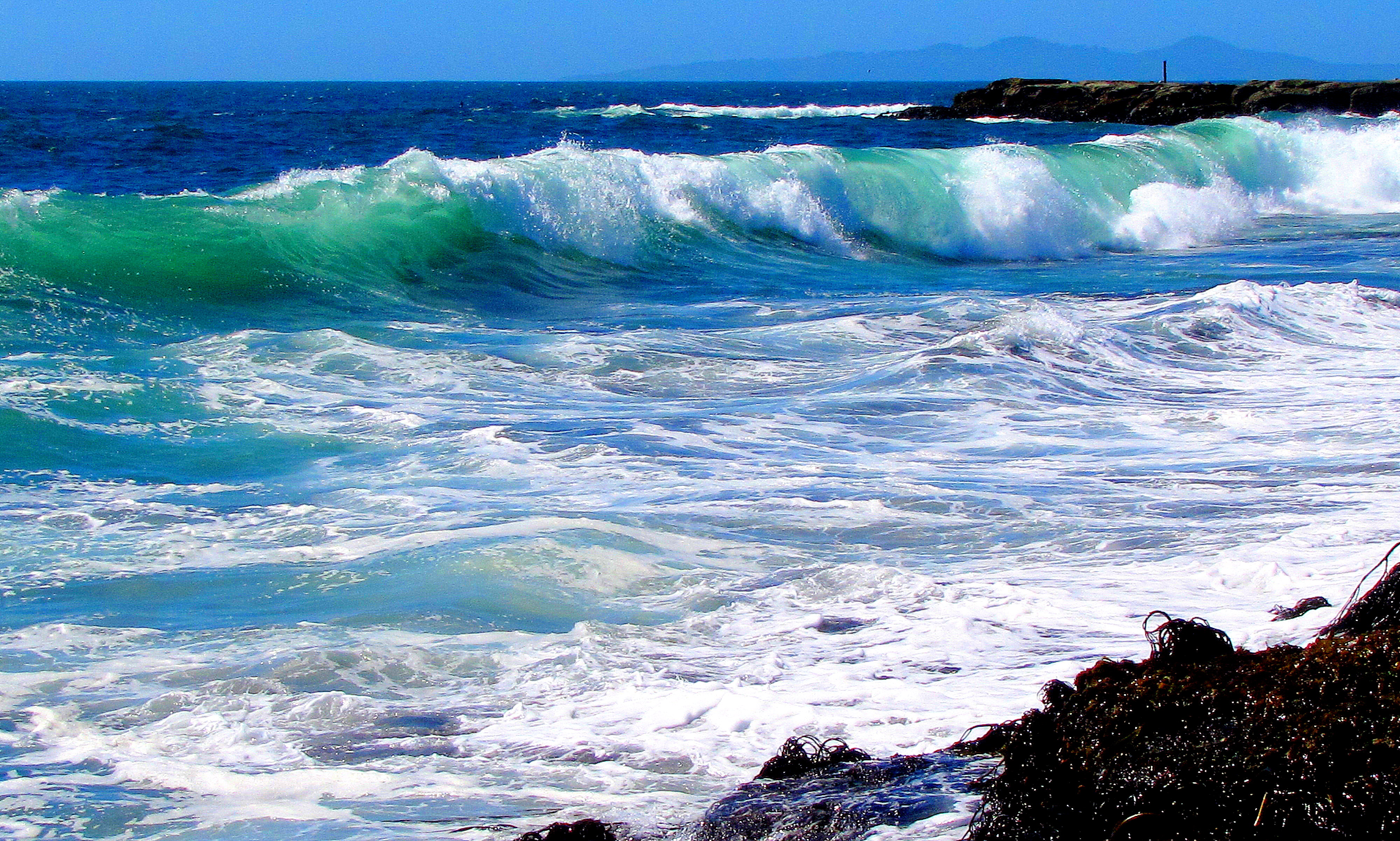 olas verdes