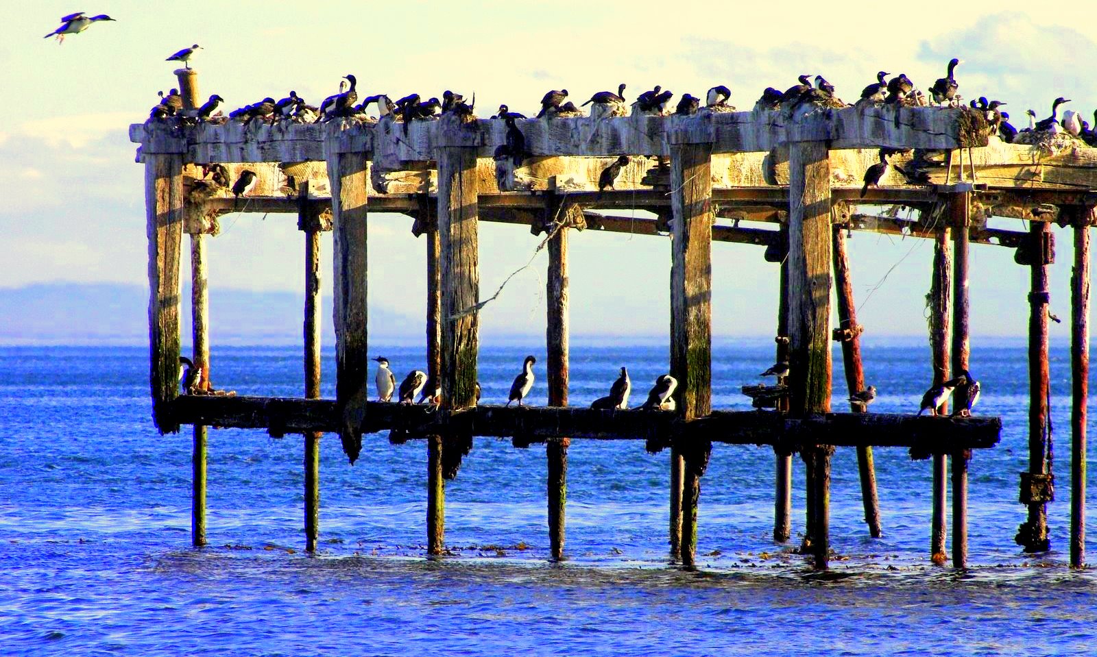 punta arenas