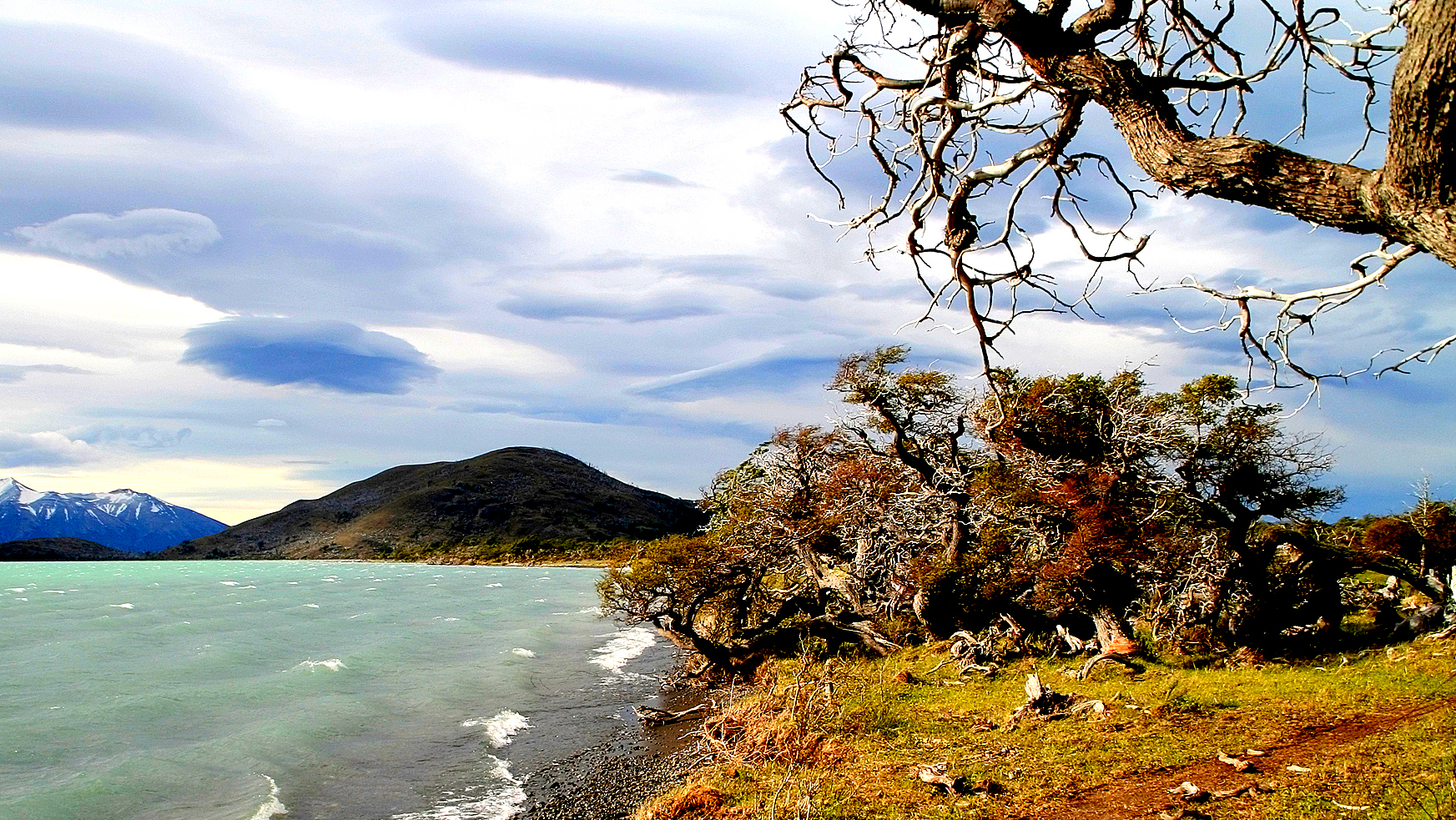 laguna verde torres del paine