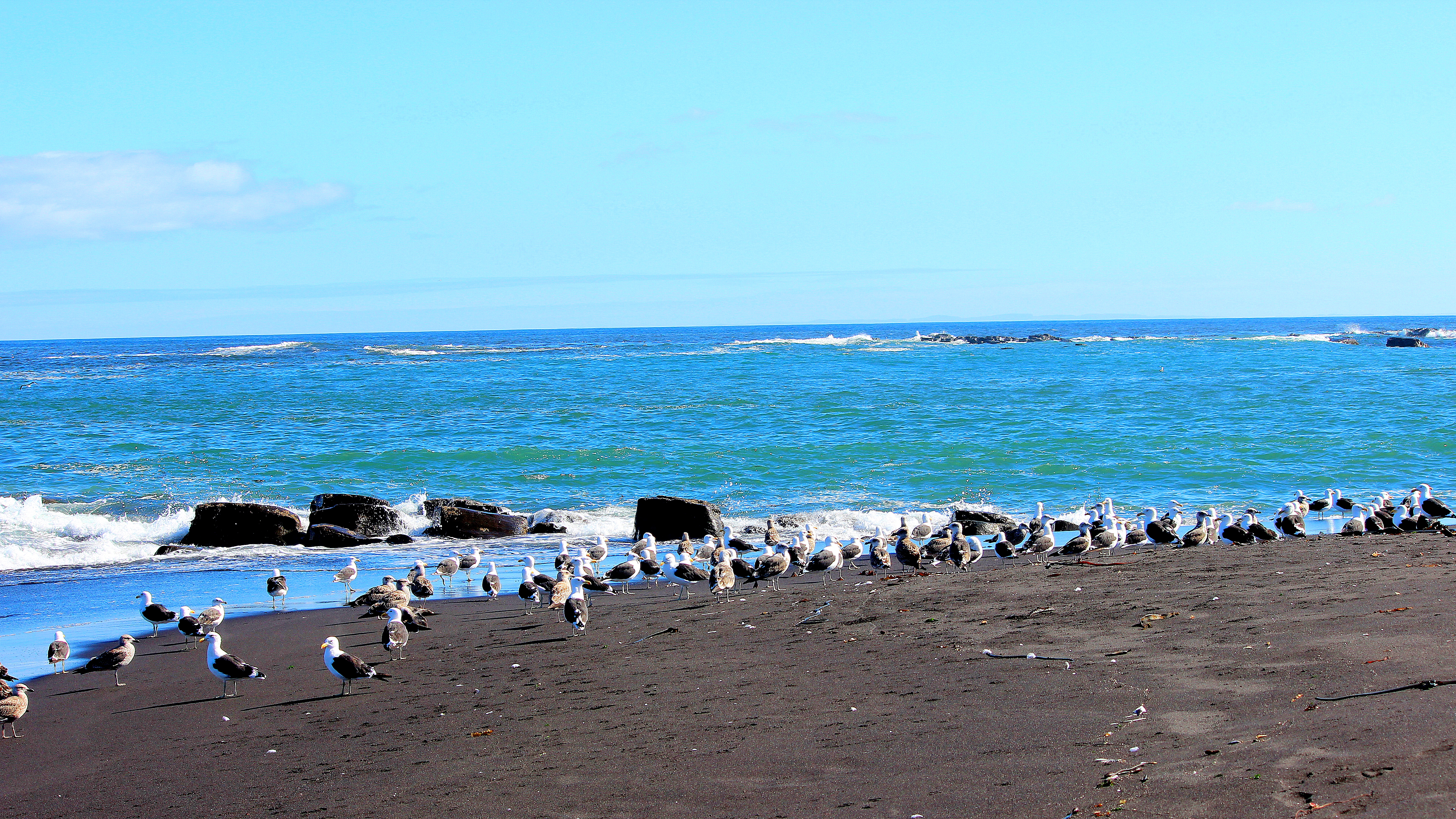 Playa Maule